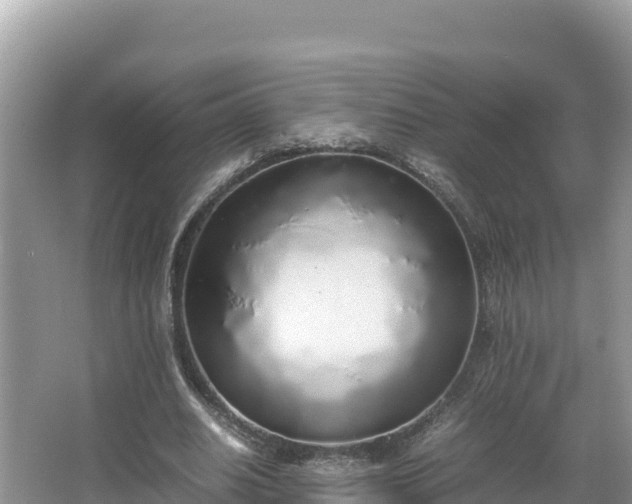 X0000067340630200604071352