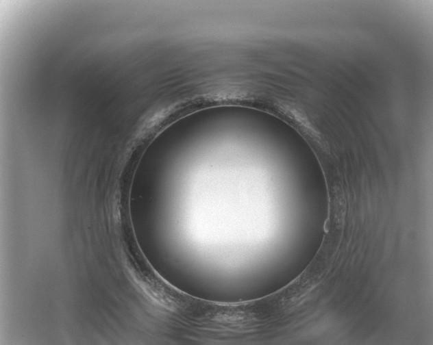 X0000067340631200604071352