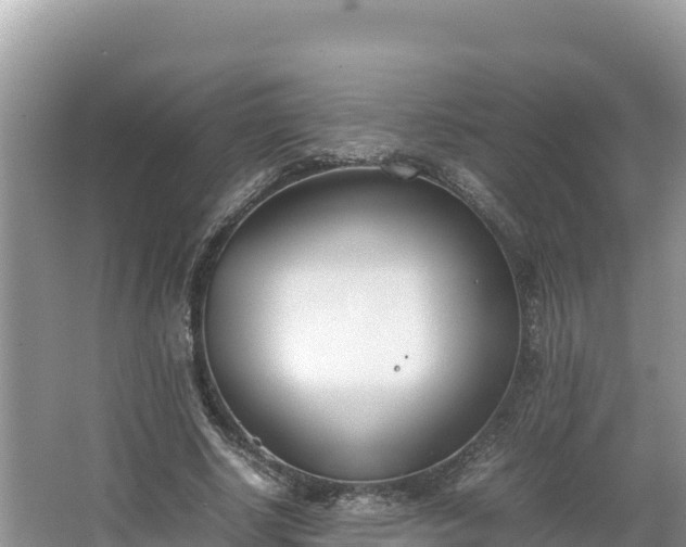 X0000067340634200604071352