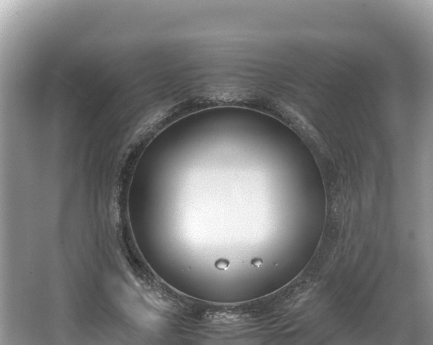 X0000067340635200604071352