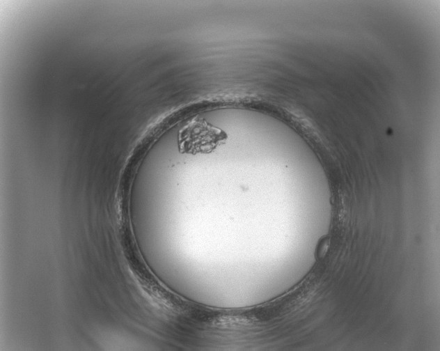 X0000067340636200604071352