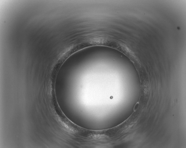 X0000067340637200604071352