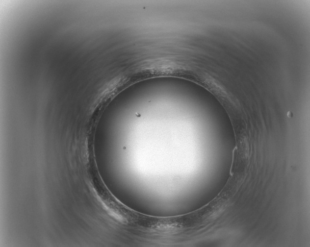 X0000067340638200604071352