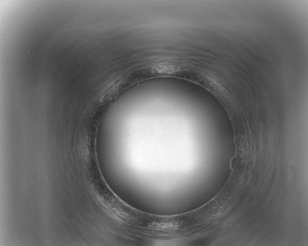 X0000067340639200604071352