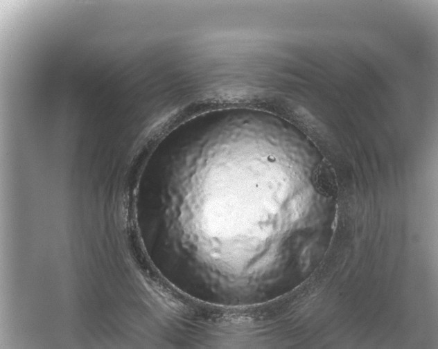 X0000067340640200604071352