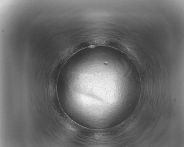 X0000067340641200604071352