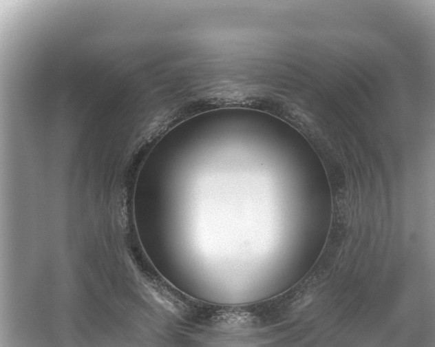 X0000067340642200604071352