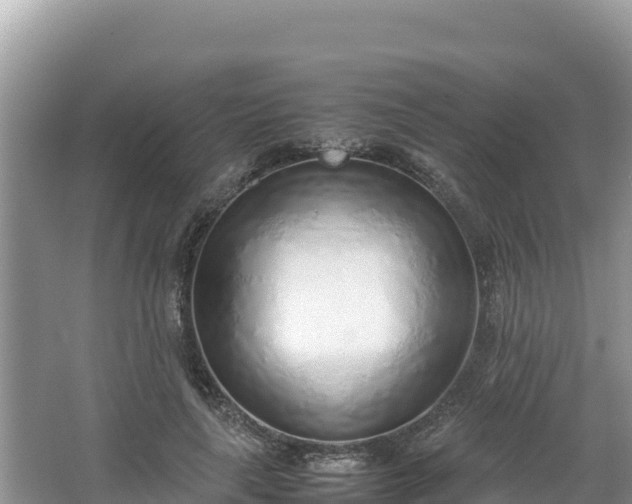 X0000067340643200604071352