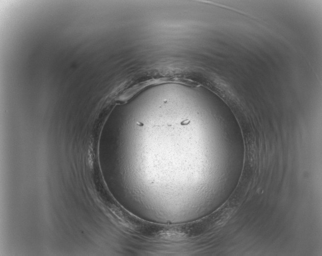 X0000067340644200604071352