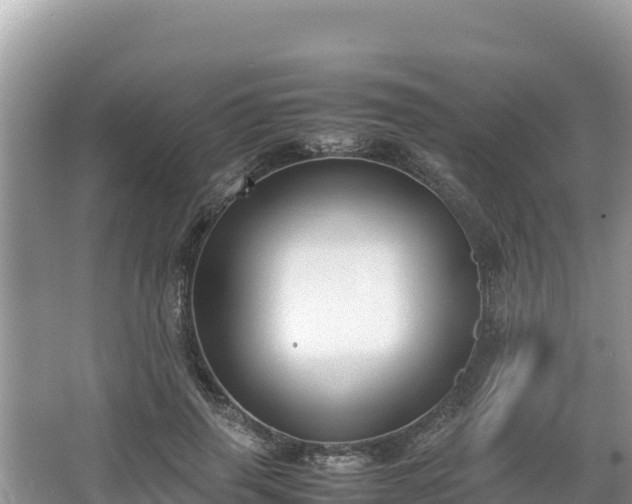 X0000067340645200604071352