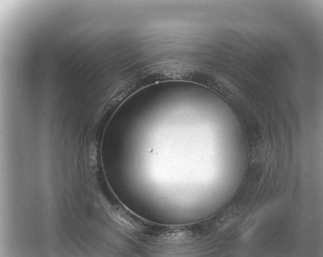 X0000067340646200604071352