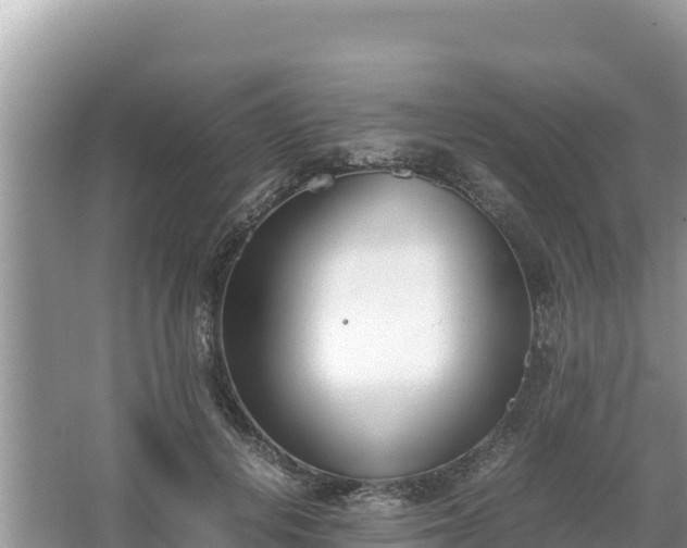 X0000067340648200604071352