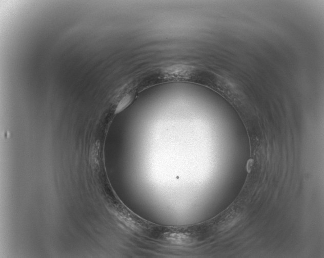 X0000067340649200604071352