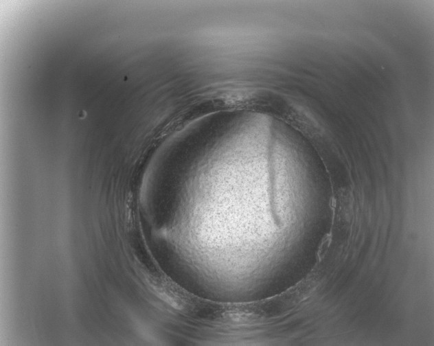 X0000067340650200604071352