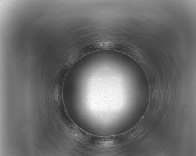 X0000067340651200604071352