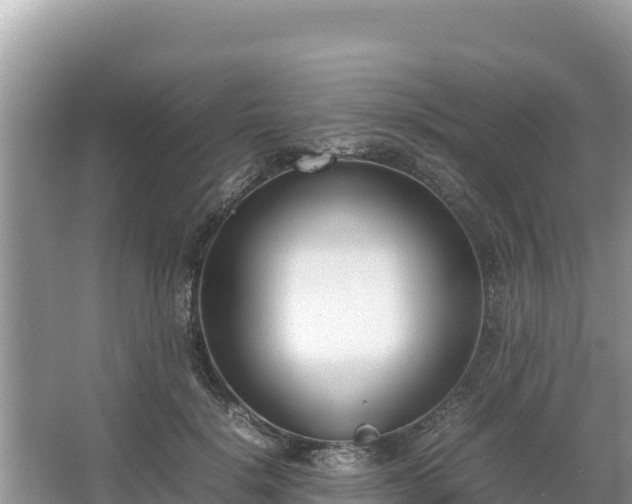 X0000067340652200604071352