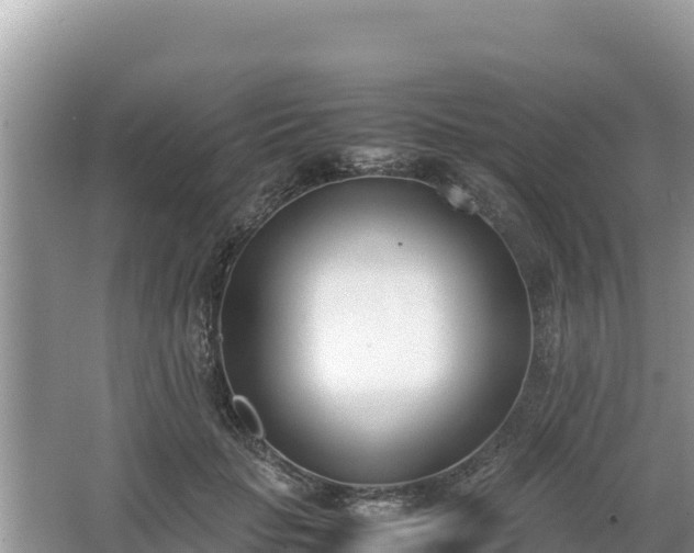 X0000067340653200604071352