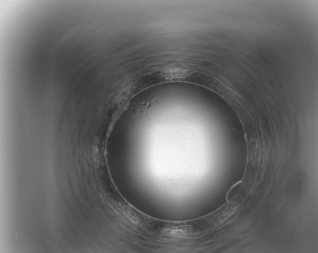 X0000067340655200604071352