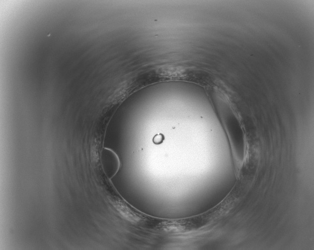 X0000067340658200604071352