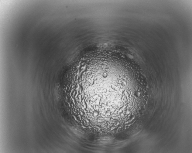 X0000067340659200604071352