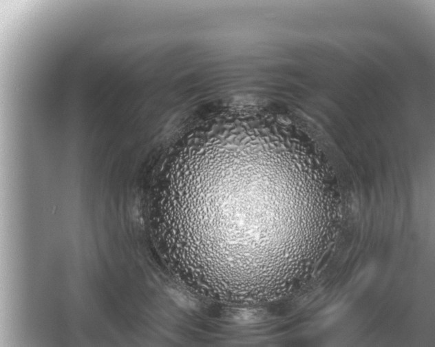 X0000067340663200604071352