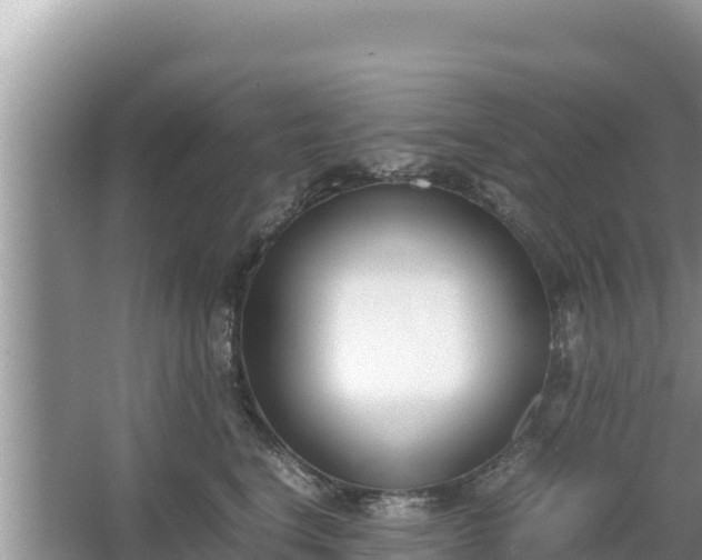 X0000067340664200604071352