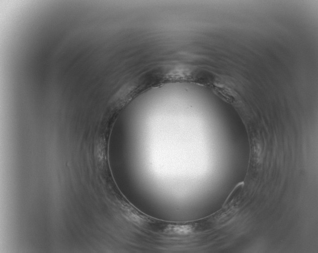 X0000067340665200604071352