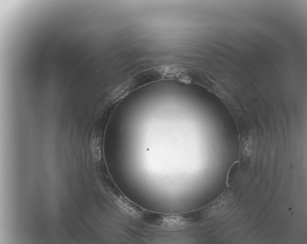 X0000067340666200604071352