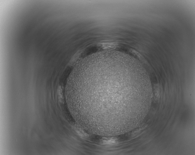 X0000067340667200604071352