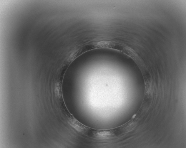 X0000067340669200604071353