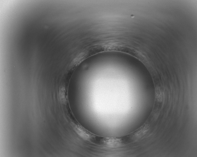 X0000067340670200604071353