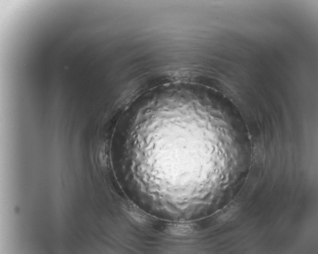 X0000067340671200604071353