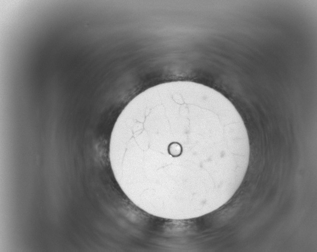 X0000067340672200604071353