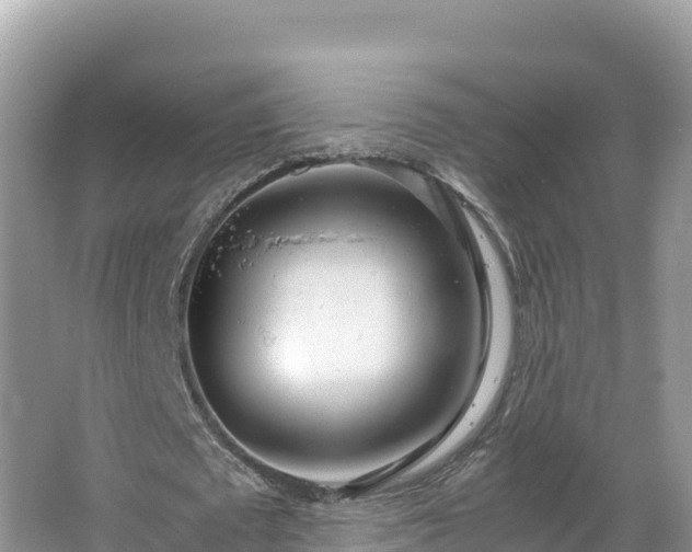 X0000067340673200604071352