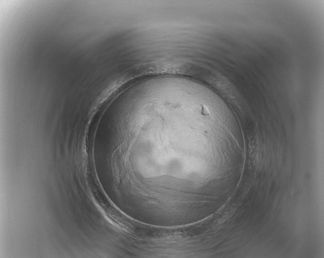 X0000067340674200604071352