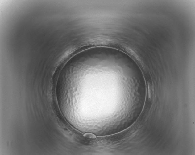 X0000067340675200604071352