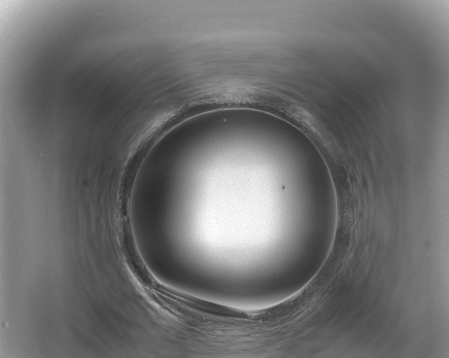 X0000067340677200604071352