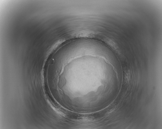 X0000067340678200604071352