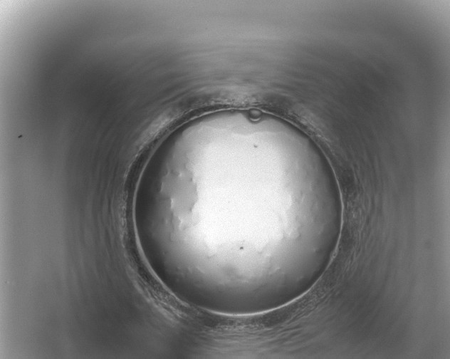 X0000067340679200604071352