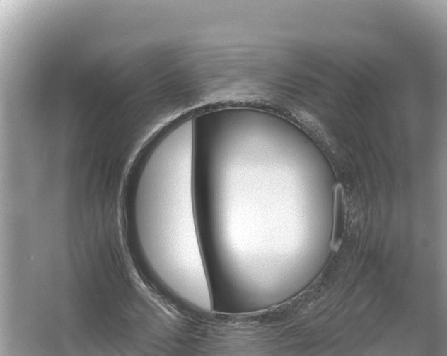 X0000067340680200604071352