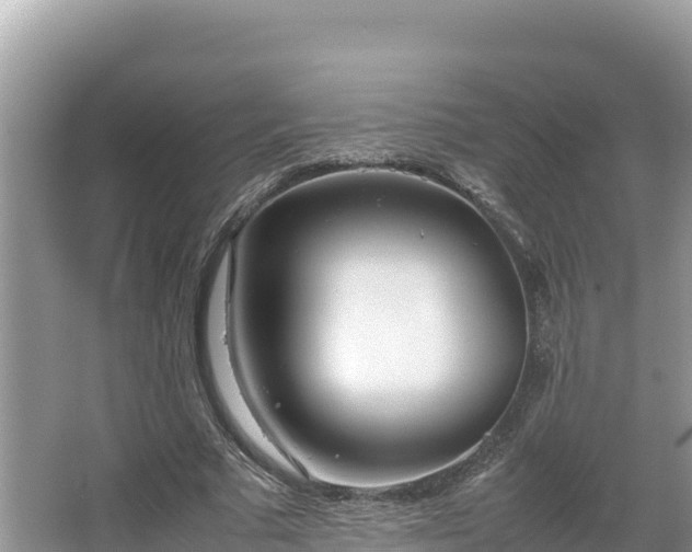 X0000067340681200604071352