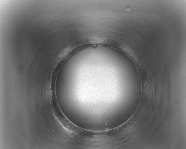 X0000067340682200604071352