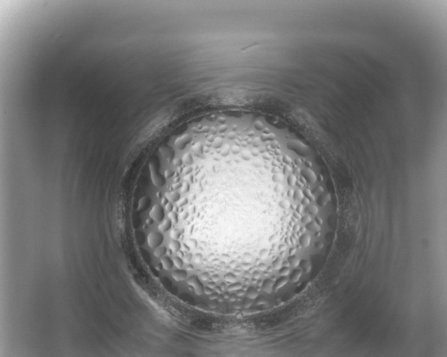 X0000067340683200604071352