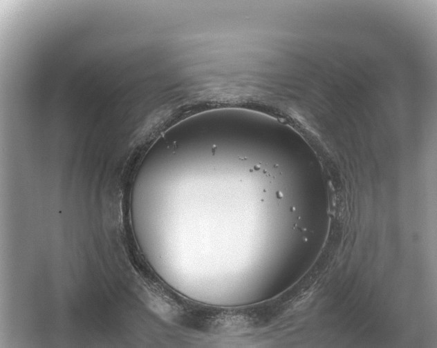 X0000067340685200604071352