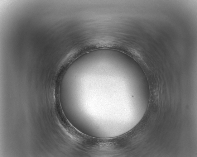 X0000067340686200604071352