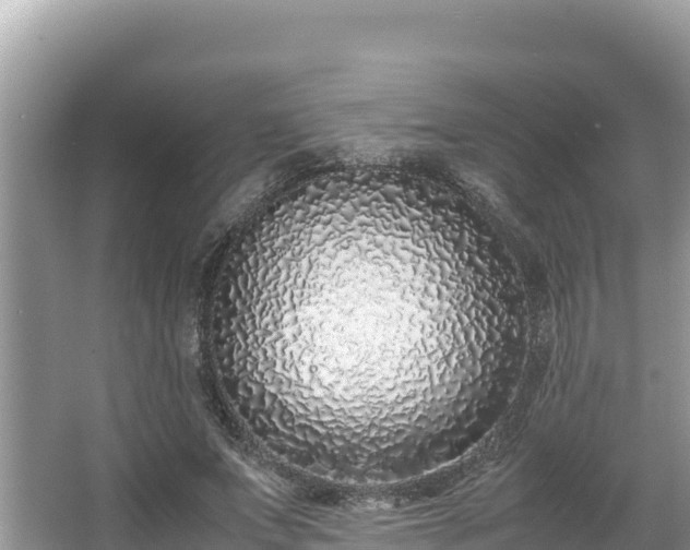 X0000067340687200604071352