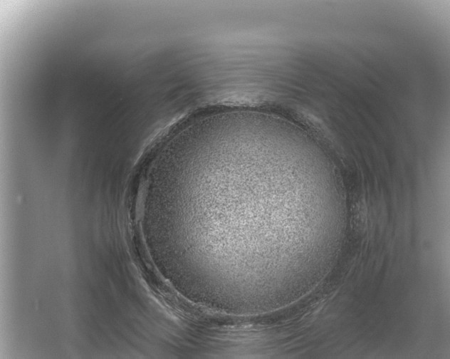 X0000067340688200604071352