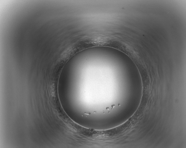 X0000067340689200604071352