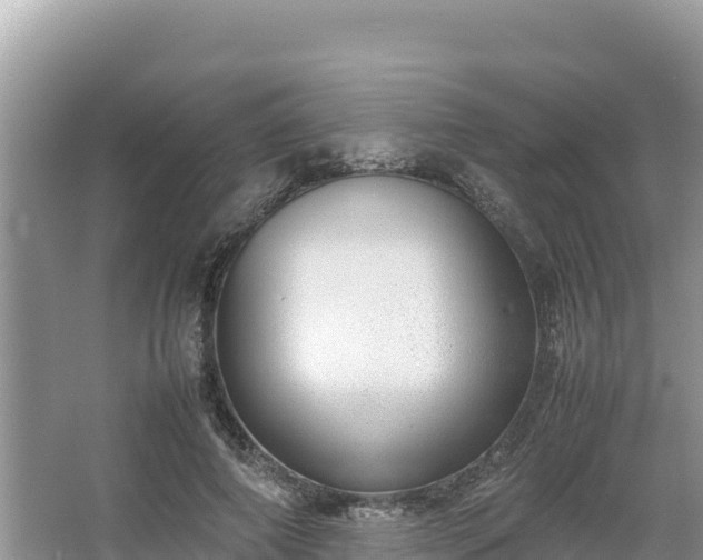 X0000067340690200604071351