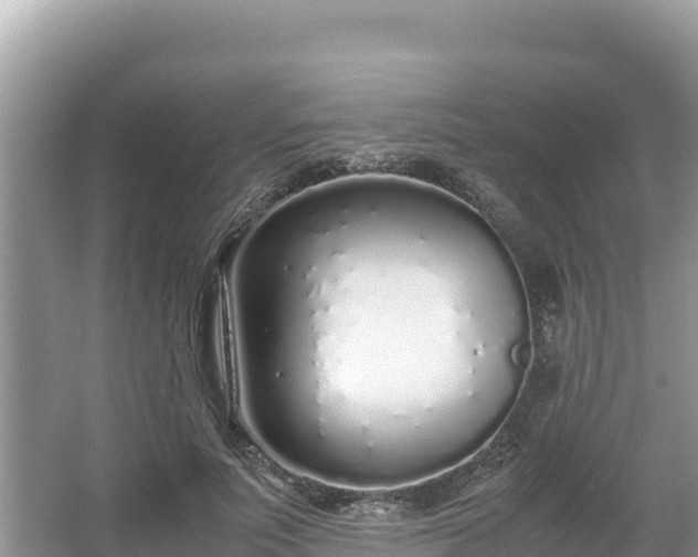 X0000067340691200604071351